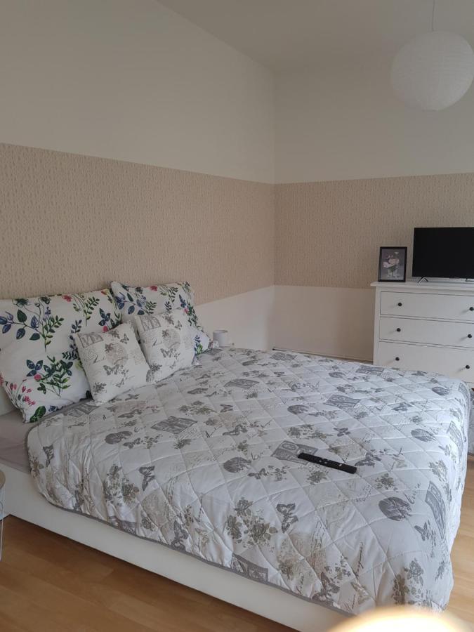 Apartman Deny2 Appartamento Decin Esterno foto